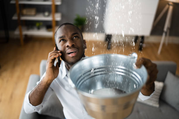 Best Professional water damage repair  in Brookdale, CA