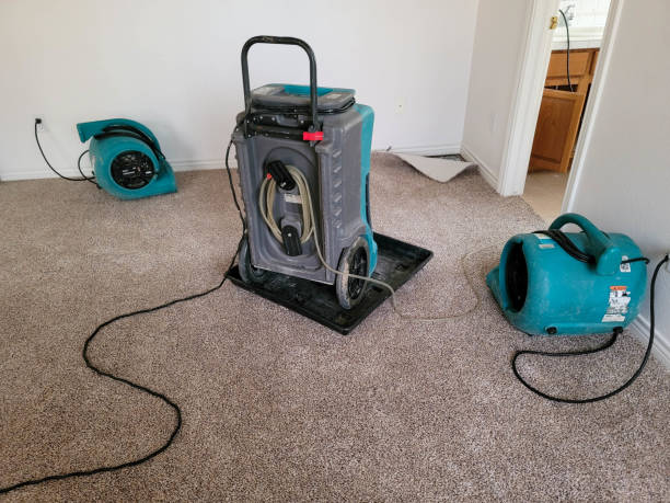 Best Basement water damage restoration  in Brookdale, CA