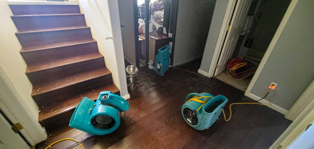 Best 24-hour water damage restoration  in Brookdale, CA
