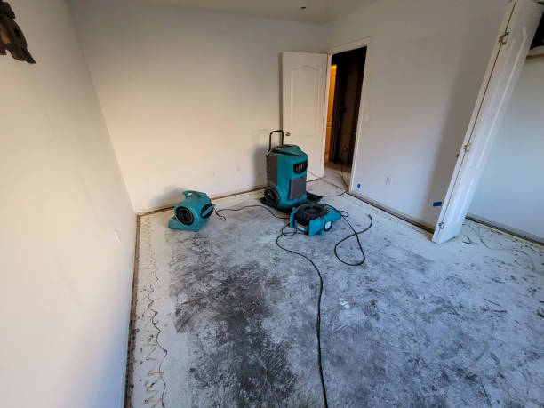 Best Mold removal after water damage  in Brookdale, CA