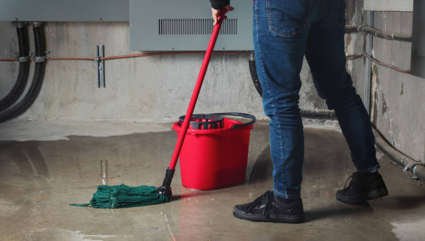 Best Fire Damage Restoration  in Brookdale, CA