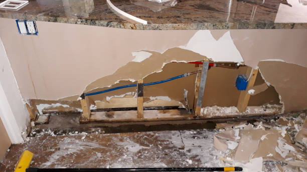 Best Water damage cleanup near me  in Brookdale, CA