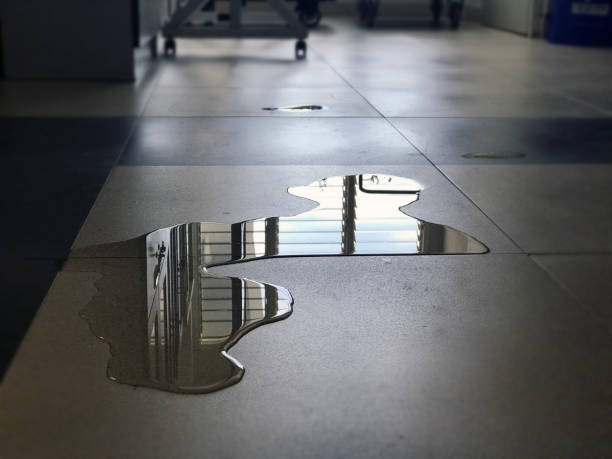 Best Carpet water damage restoration  in Brookdale, CA