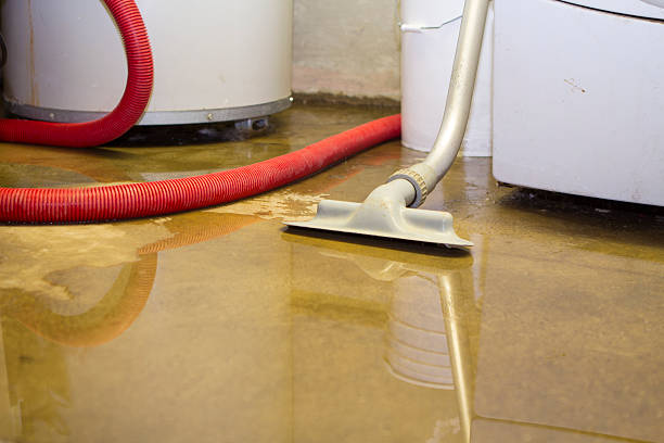 Best Flooded house restoration  in Brookdale, CA