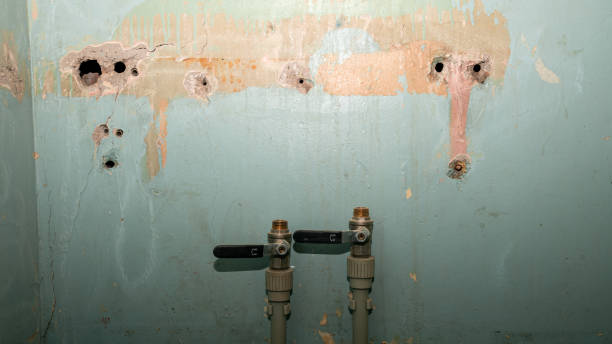Best Emergency water damage restoration  in Brookdale, CA