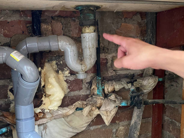 Best Water damage restoration mold remediation  in Brookdale, CA