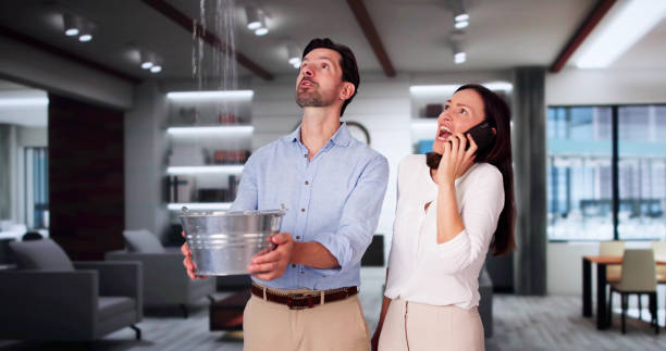 Best Water damage restoration experts  in Brookdale, CA