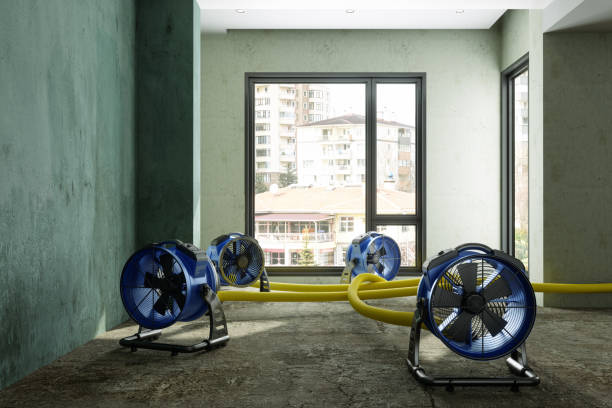 Best Local water damage restoration  in Brookdale, CA