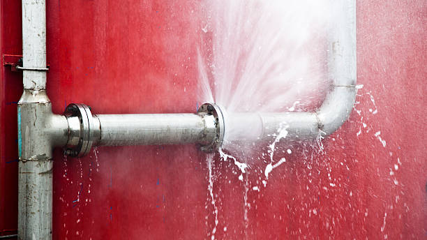 Best Flood restoration services  in Brookdale, CA