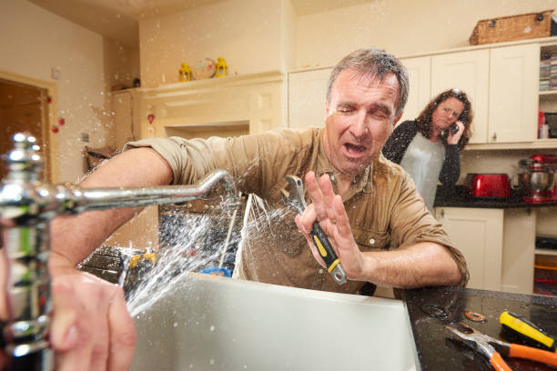 Best Flooded house restoration  in Brookdale, CA